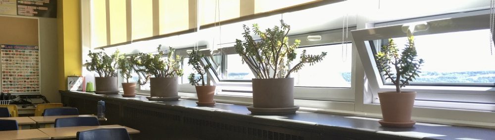 Classe de Monsieur Laurent